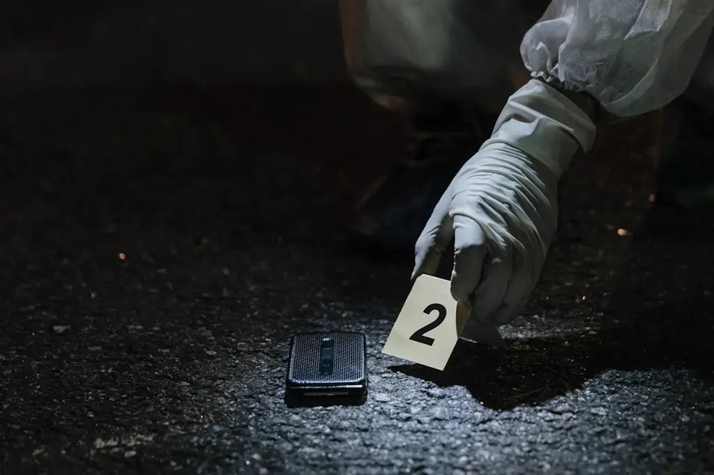 Prueba en proceso penal